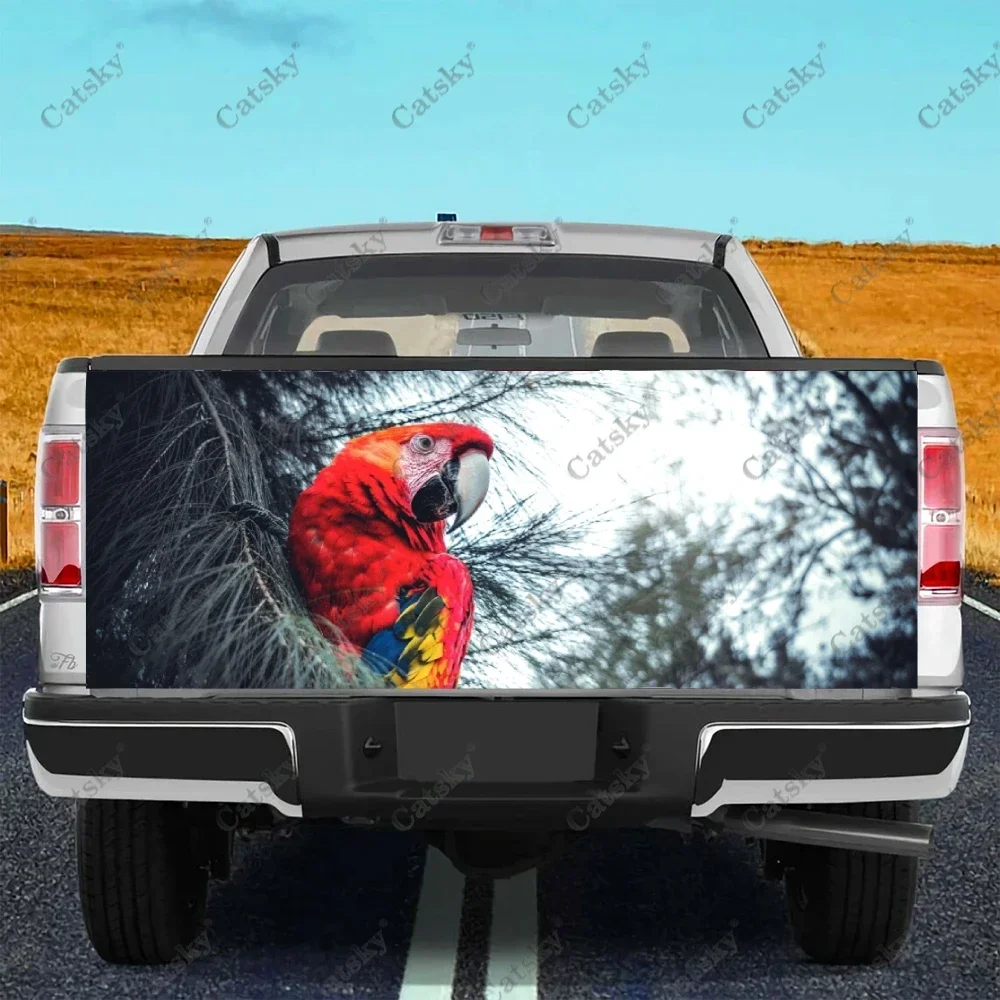 

Parrot animal Car sticker rear car rear appearance modification package suitable for car truck sticker