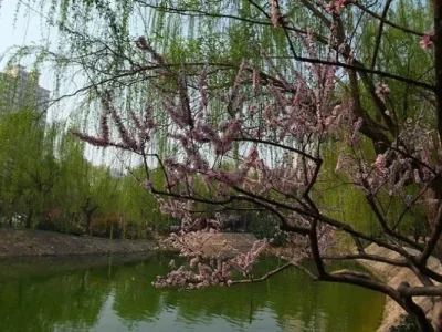 

9 шт. металлических деталей для модернизации радиоуправляемой машины Wltoys 12402a 1/12 4WD 2.4G