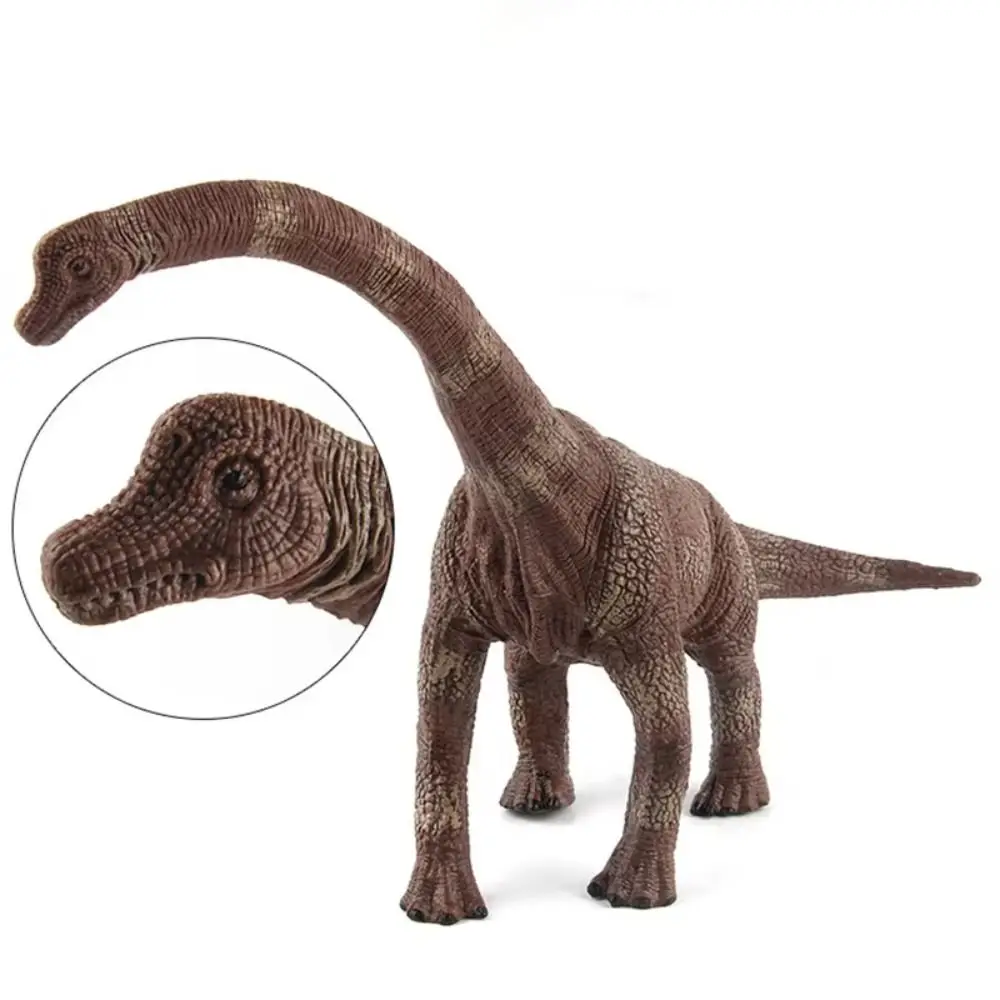 Modelo de Dinosaurio Herbívoro, Figuras de Acción de Dinosaurios Realistas Simuladas, Decoración del Hogar, Colección Educativa de Dinosaurios Jurásicos