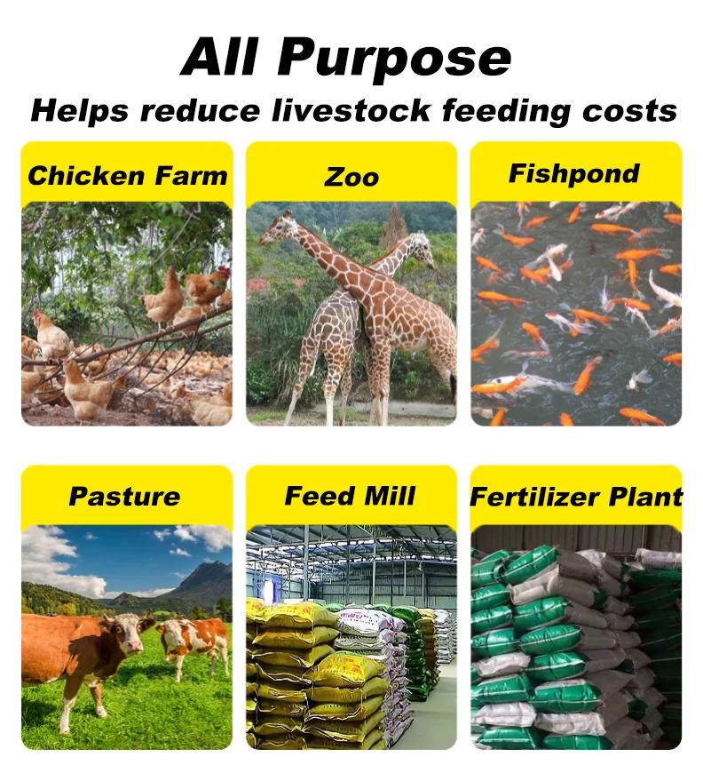 Electric Feed Pellet Mill for Small Scale Farm Chicken Duck Rabbit