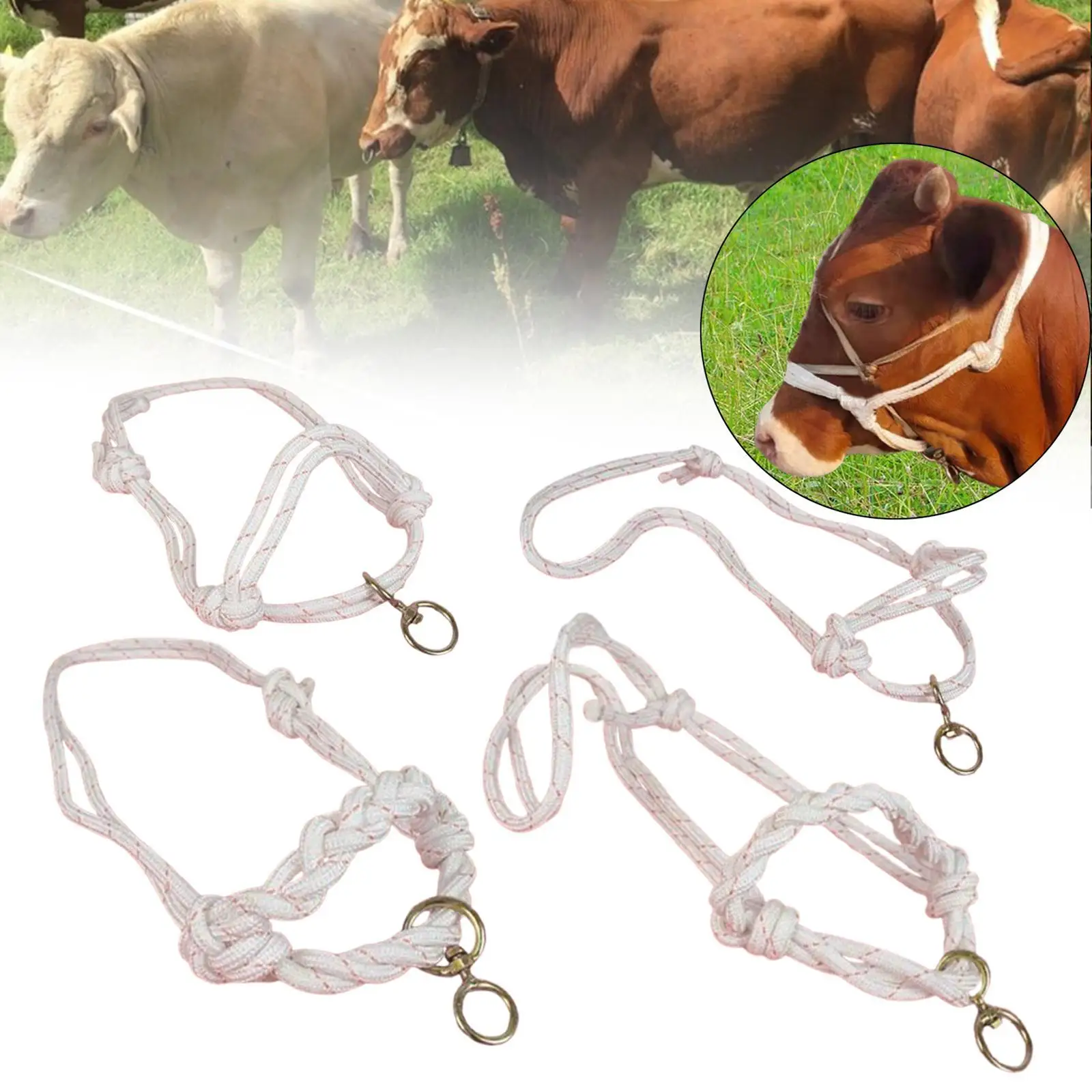 Bull Bridle في الهواء الطلق فعالة للتحكم في المزارع والعتاد ورسن البقرة