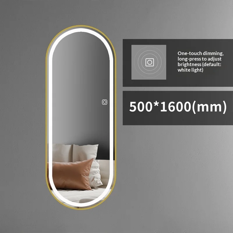 Full Length Large Floor Mirror Full Body Standing Mirror LED Light Modern Living Room Bedroom Decorative Vanity Furniture