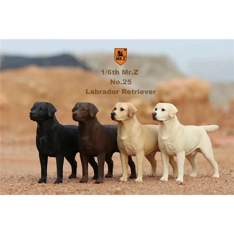 Mr.Z Studio 1:6 Scale Model Labrador Retriever Loyal Dog Pet Action Figure Animal Toy Decoration Collection DIsplay Gifts Fans