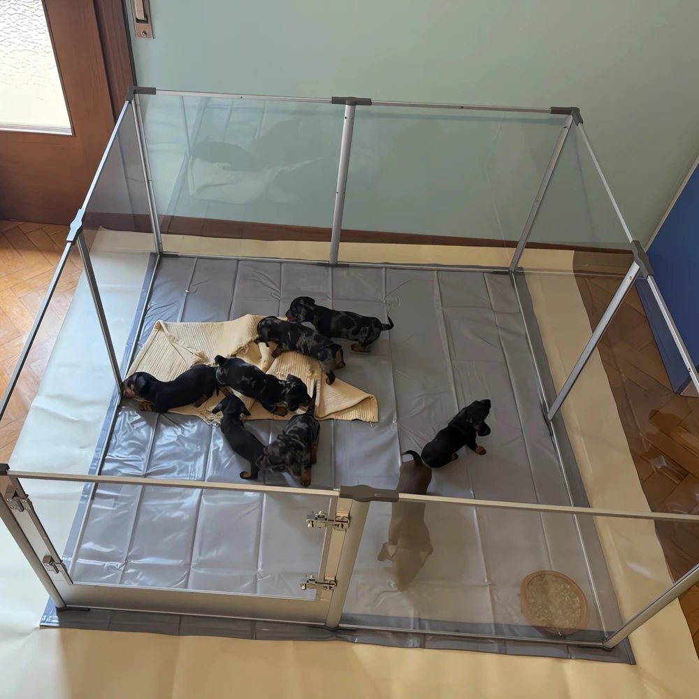 Corral acrílico extra grande para perros y pequeños animales - imagen 4