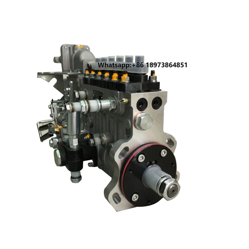 

Professional Construction Machinery Weichai WD615 Engine Parts Longkou Fuel Pumps 612601080595