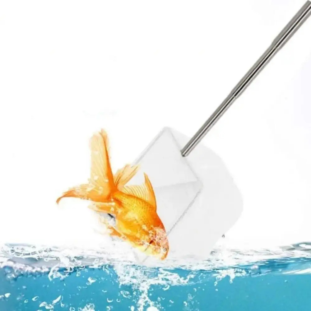 Telescopic Goldfish Net High Quality White Extendable Soft Aquarium Shrimp Net Long Handle Fish Nets