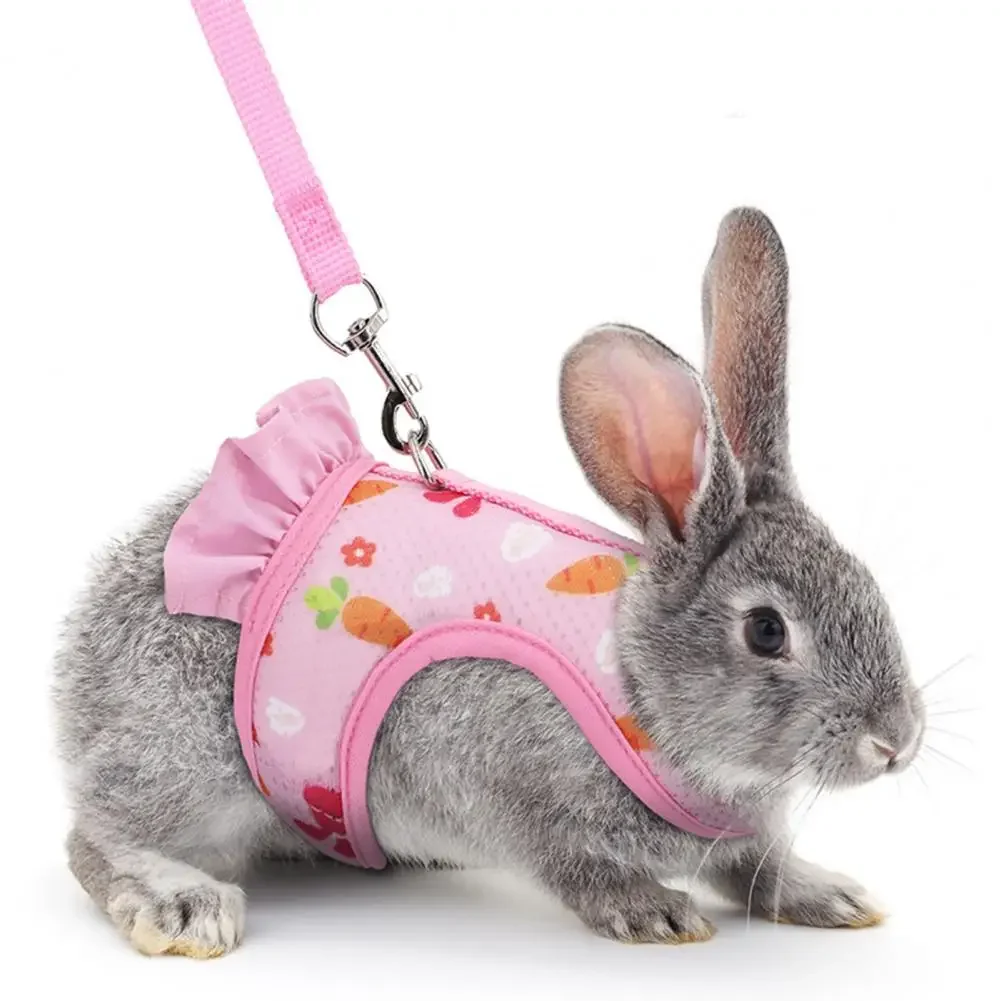 1 Set Rabbit Harness And Leash Cartoon Pattern Guinea Pig Rabbit Vest Harness Set Outdoor Walking Harness And Leash Set