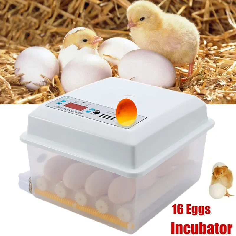 

Automatic Intelligent Egg Incubator Farm 16 Egg Hatchery Machine Digital Farm Chicken Goose Quail Brooder Incubator Egg Hatcher