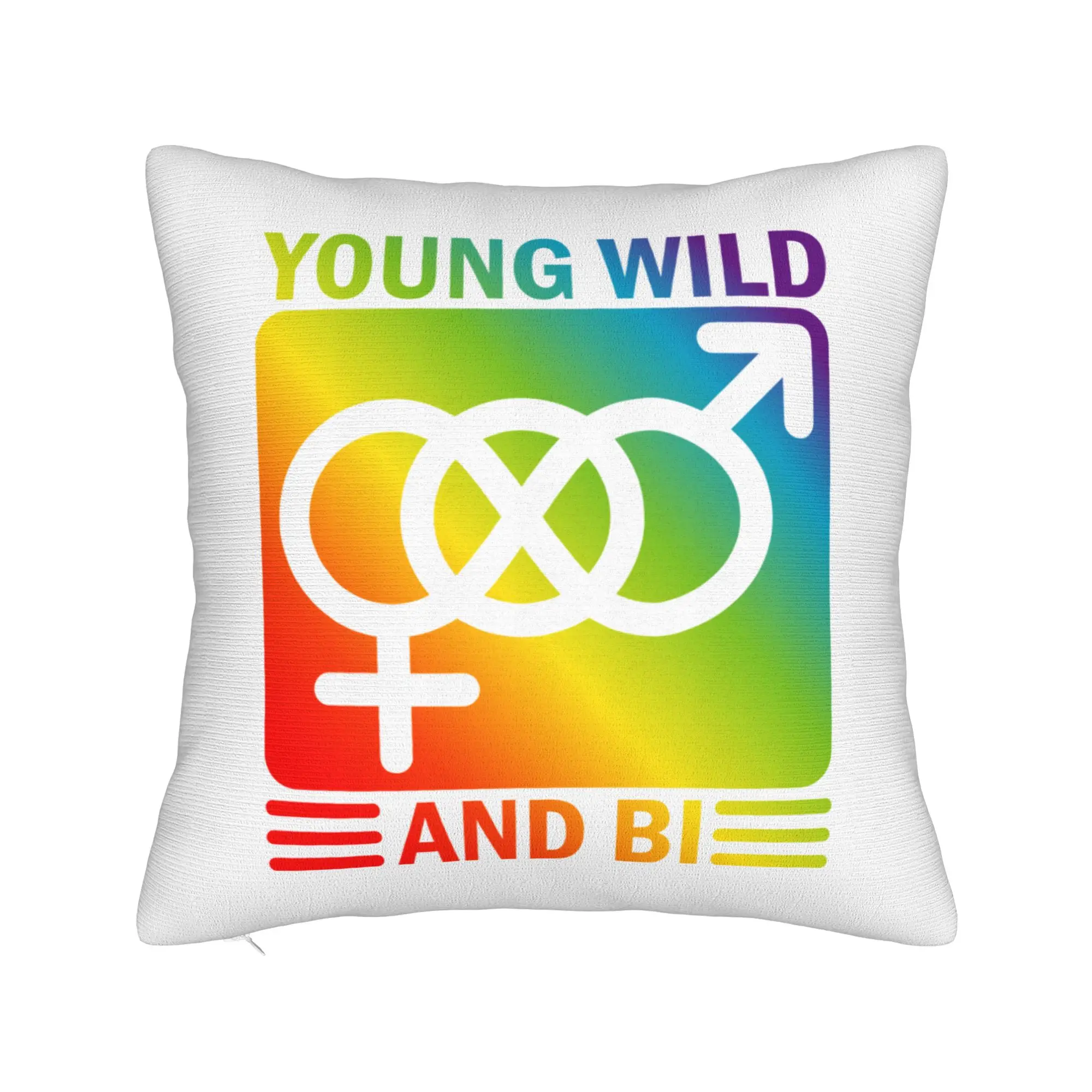Custom Lgbt Bisexual Pan Pillow Double Sided Gay Pride Homosexual Cushions for Bedroom Sofa Personalized Plush Pillows for Sofa