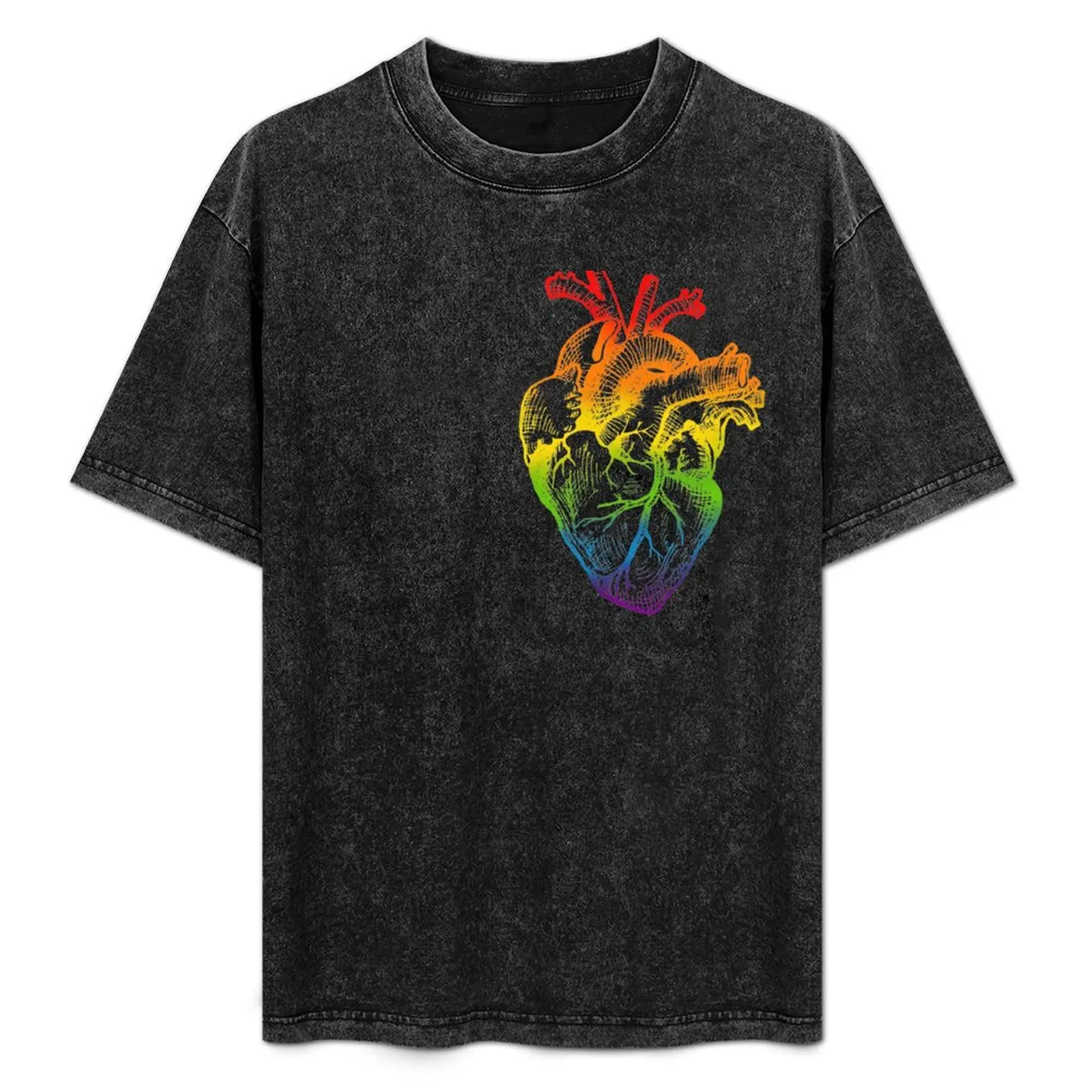 

Drawing of anatomical heart in LGBTQ pride colors T-Shirt Daily Wear Print T-Shirt