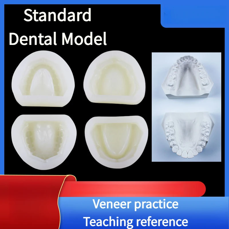 Gum Stamping Back Dental Standard Silicone Model Toothless Veneer Practice Base