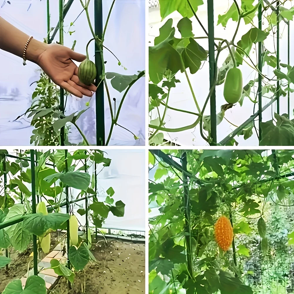

eller 30pcs Sturdy Metal Climbing Plant Garden Lattice,for Cucumbers, Beans And Tomatoes-Durable Support Frame xs63-fro