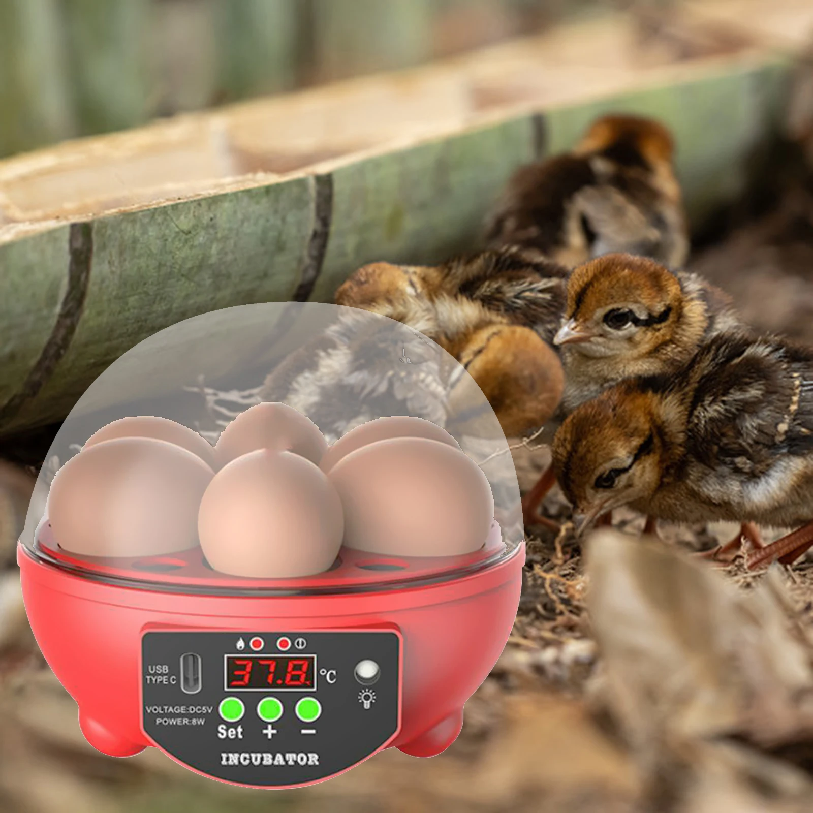 6Eggs Automatic Eggs Incubator Digital USB Incubator for Chicken Birds Duck Goose  Turning Temperature Control Breeder