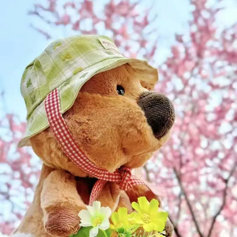 ماكينة تقطيع الخضروات للمطبخ 200-400 كجم/ساعة، ماكينة تقطيع الفاكهة التجارية متعددة الأغراض