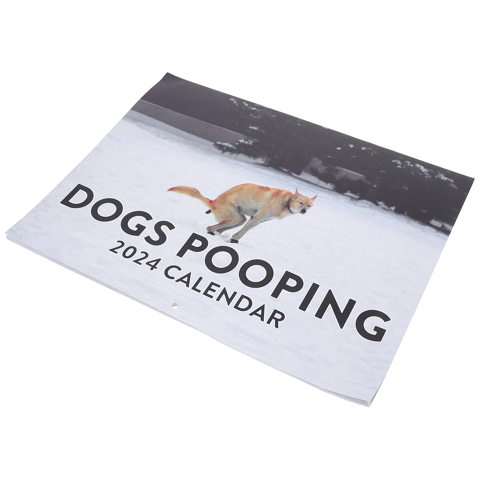 

The Cat Delicate Office Pet Dog Pooping Wall Calendar Paper 2024 Planner Family