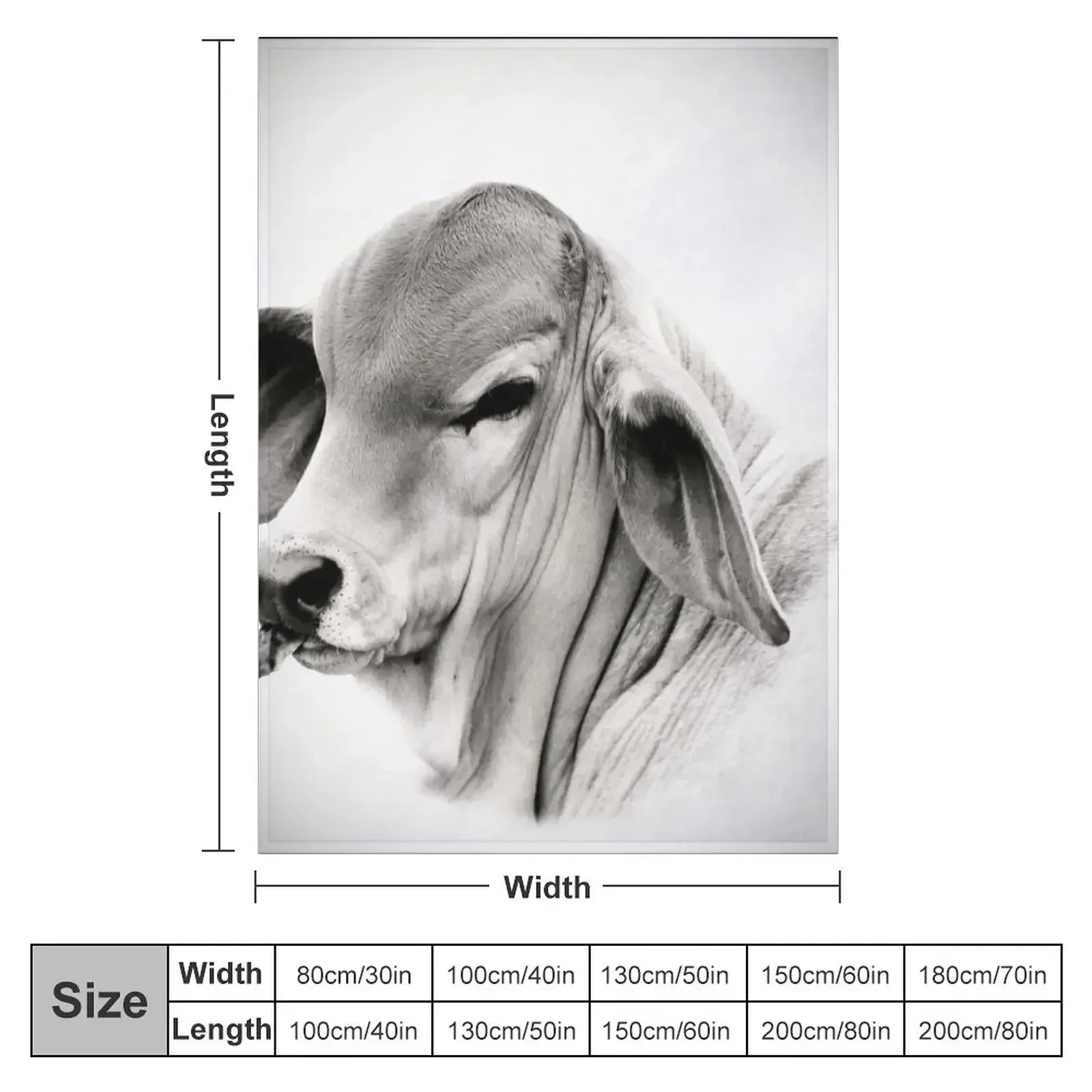 BRAHMAN CALF, PORTRAIT, WALL ART Throw Blanket Single Flannels Summer Beddings Blankets