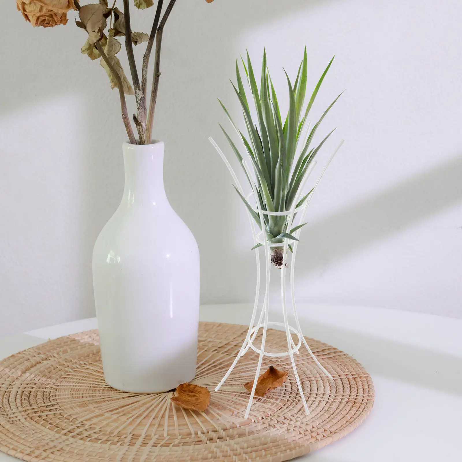 Air Plant Rack Stylish Metal Plant Holder Display Stand for Air Plants Home Office Table Garden Decor Variety Live