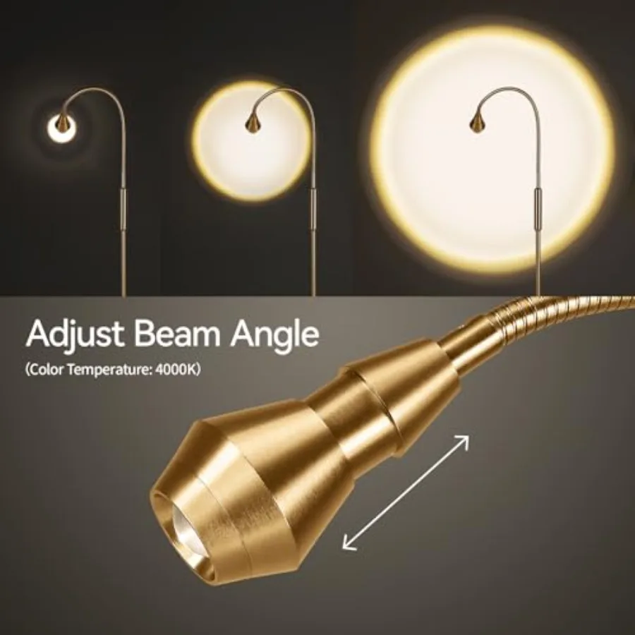 Adjustable LED Beam Floor Lamps for Living Room Reading Lamp with Flexible Gooseneck Dimmable Zoomable Spotlight Work Light Tou