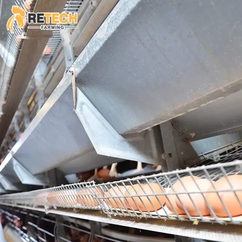 

Chicken Layer Cages Battery Automatic Poultry Cages for Farm Use