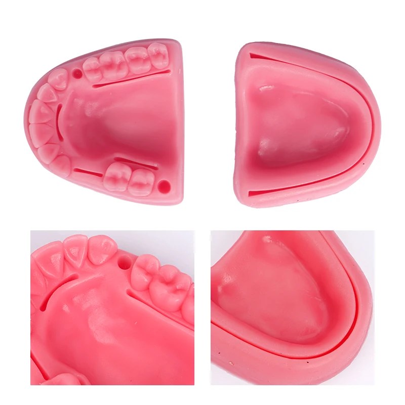 

﻿ 2Pcs Dental Oral Gingival Skin Suture Module Silicone Periodontitis Suture Model Teaching Training Practice Pad