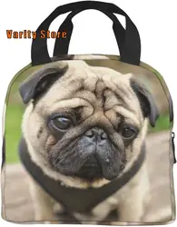 Pug Insulated Lunch Bag For Women Reusable dog Lunch Box Men Food Containers Portable Cooler Bags Reusable Snack Bag