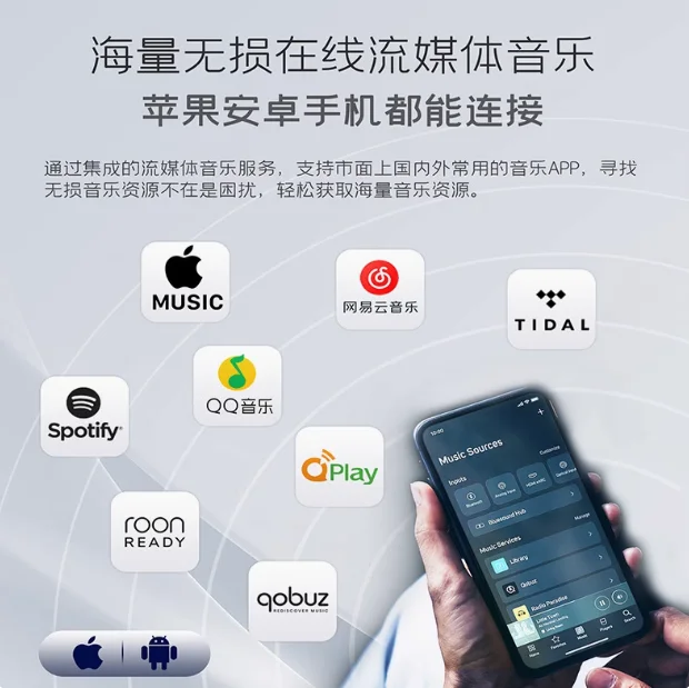 Neuer N132 Canadian Bluesound Nose Streaming Digital Broadcast Decoding HIFI Earamplifier