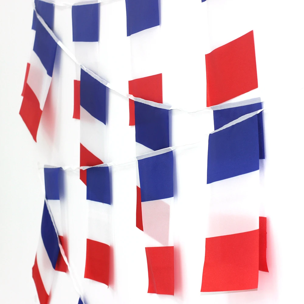 FLAGLINK 20pcs/Set France Bunting Flags 14x21cm 20x30cm Pennant France String Banner Buntings Festival Party Holiday