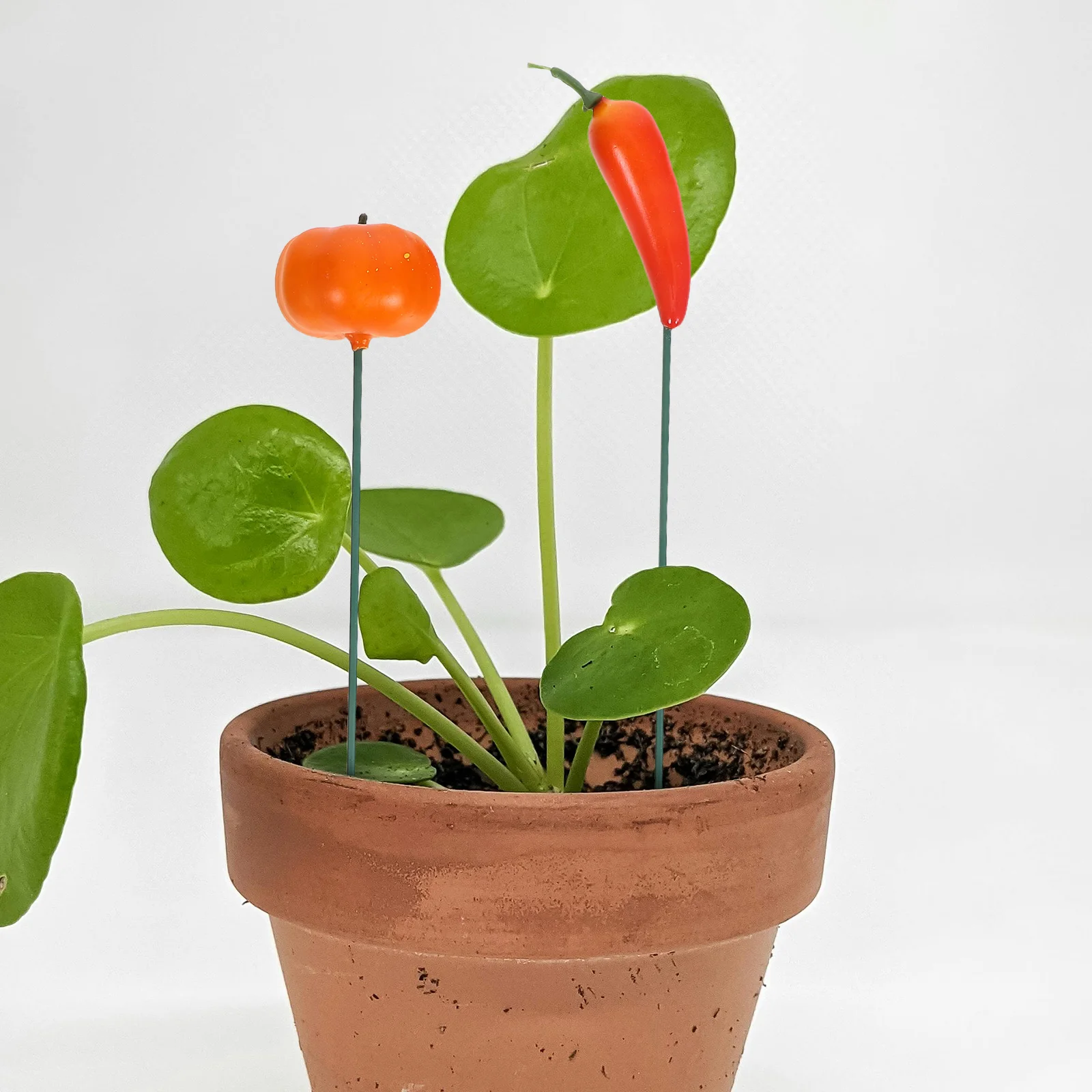 

5 Pcs Food Ground Plug Decoration Statue Stake Garden Decorative Foam Fake Foods