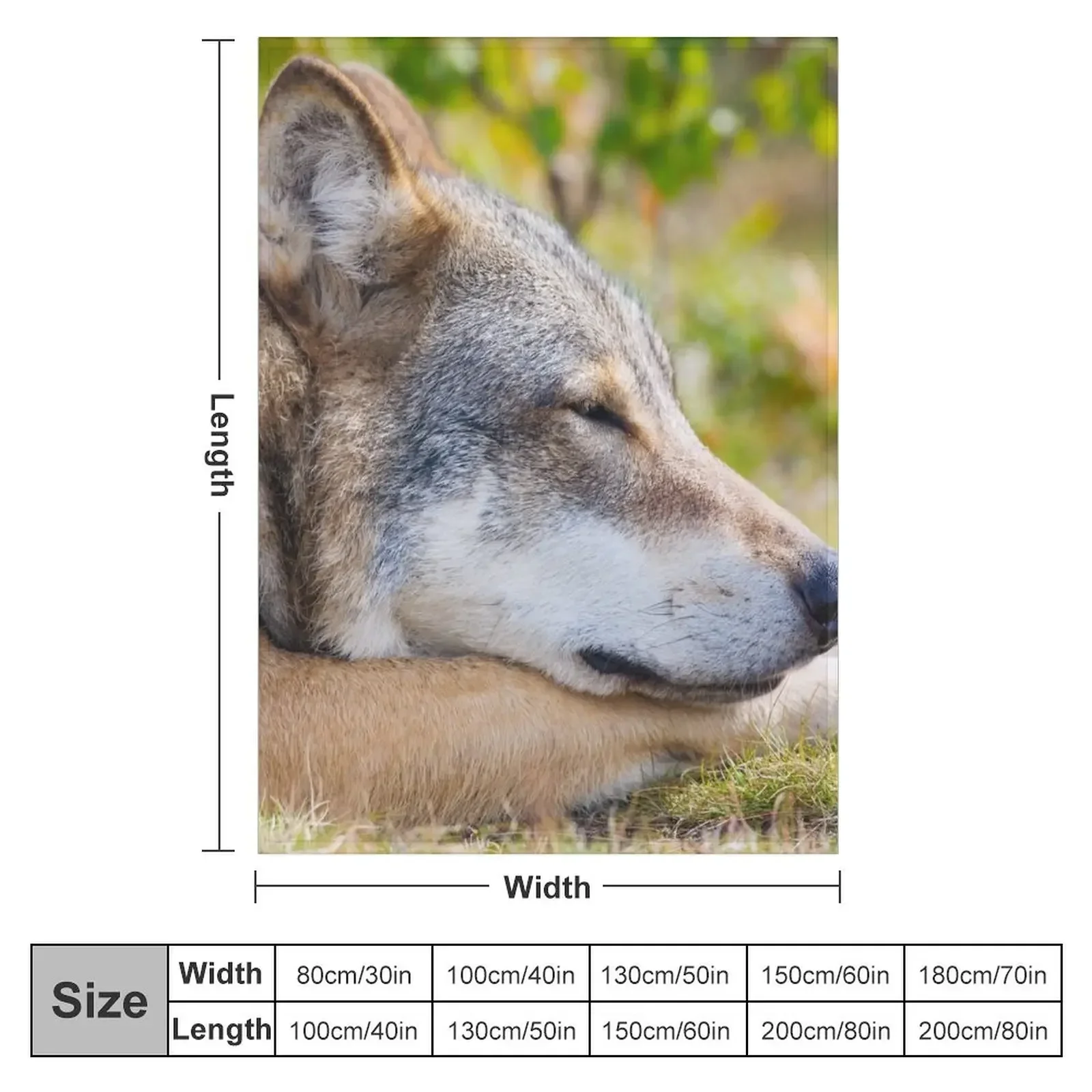 Beautiful coyote wallpaper Throw Blanket Giant Sofa Thins funny gift valentine gift ideas Blankets