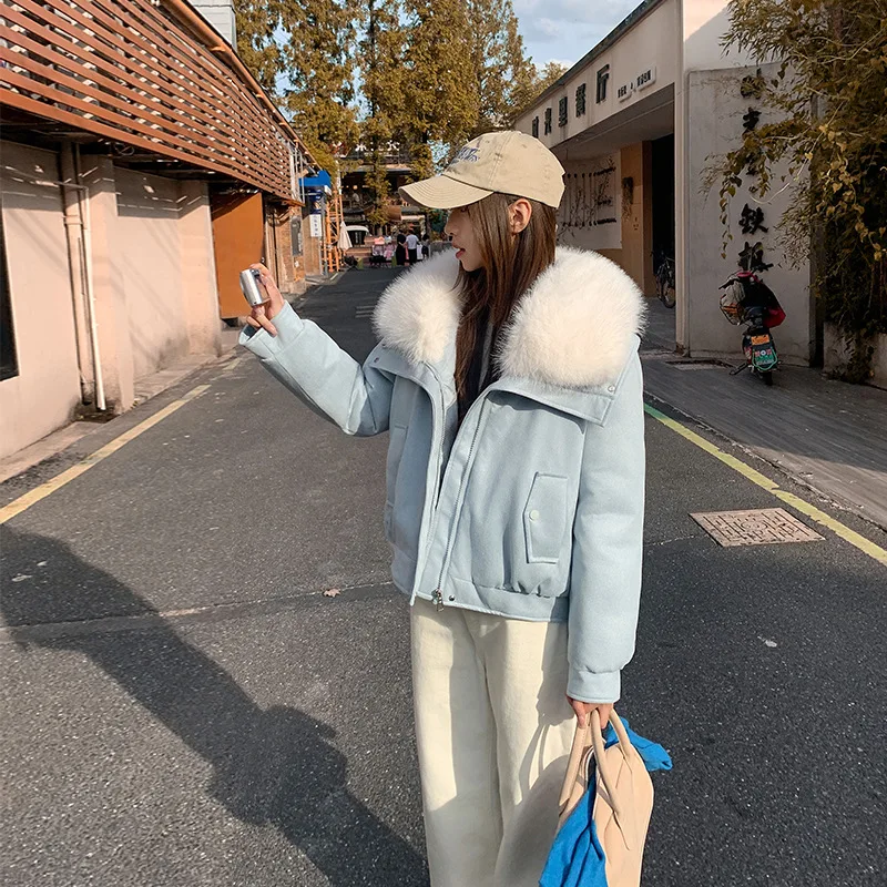 جديد جودة عالية الشتاء سترة النساء الملابس صوف الضأن كبير الفراء طوق المرأة قصيرة الشتاء أسفل معطف مبطّن بالقطن سترات الإناث