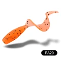PA29