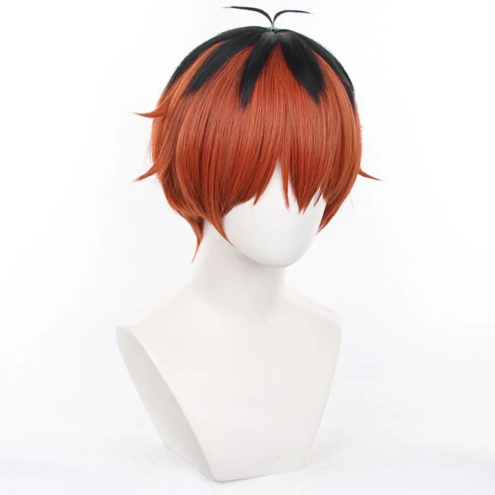 Peluca de cosplay Furion para "Furion" en "Hurtalk" - Mezcla especial de colores, parte superior peluda, parte superior de piel