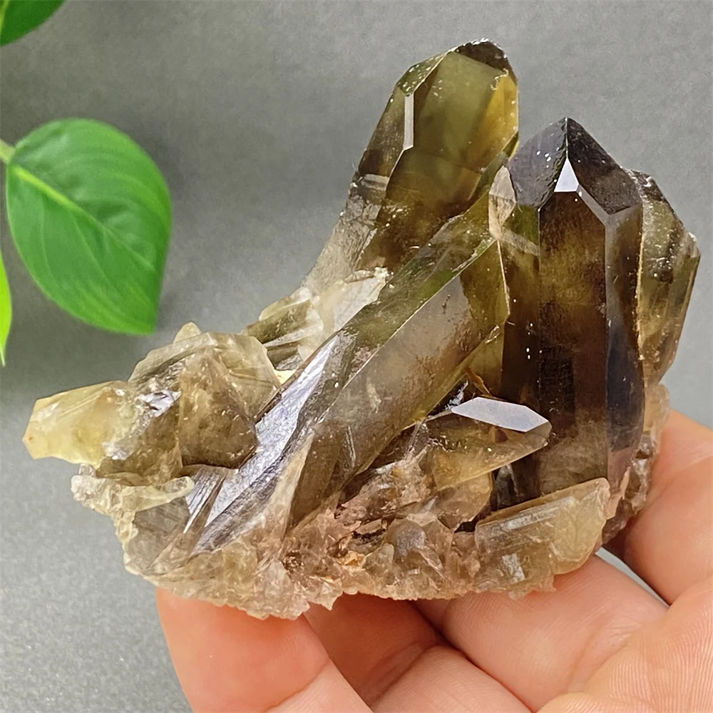 1PC Natural Brazilian Black Crystal Smoky Quartz Ore Specimen Crystal Cluster Mineral Home Decoration