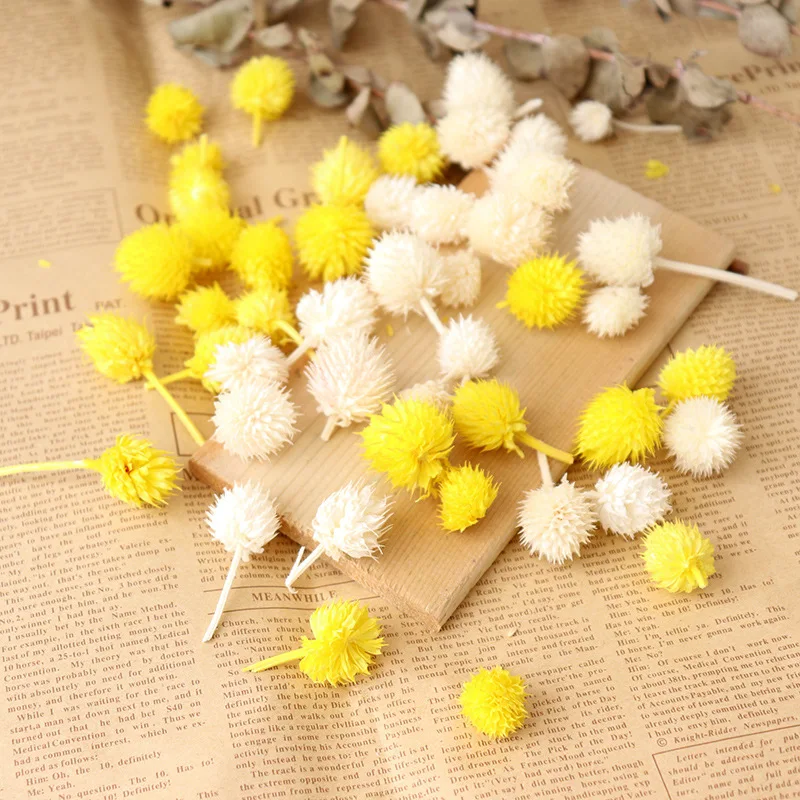 Natural Real Flowers Dried Strawberry Lover Fruits Head Decorative Wedding Party Christmas Gift Accessories Droogbloemen Klein