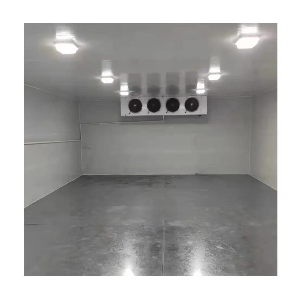 Attrezzatura industriale per celle frigorifere per celle frigorifere di qualità eccezionale