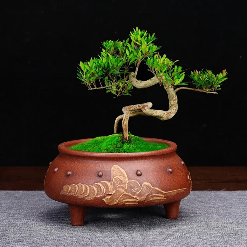 Chinese Style Antique Purple Clay Flowerpot Tabletop Green Plants Bonsai Pot Painting Handmade Macetero Vintage Pots De Fleurs