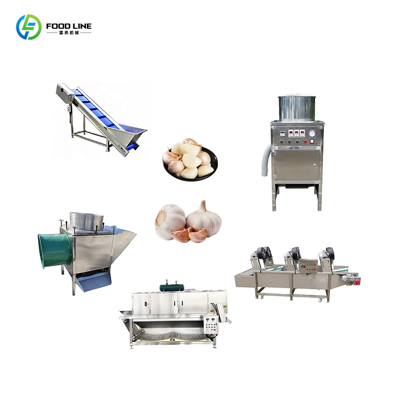 FL Garlic Grinding Machine Garlic Clove Separator Industrial Ginger Garlic Paste Making Machine Customized