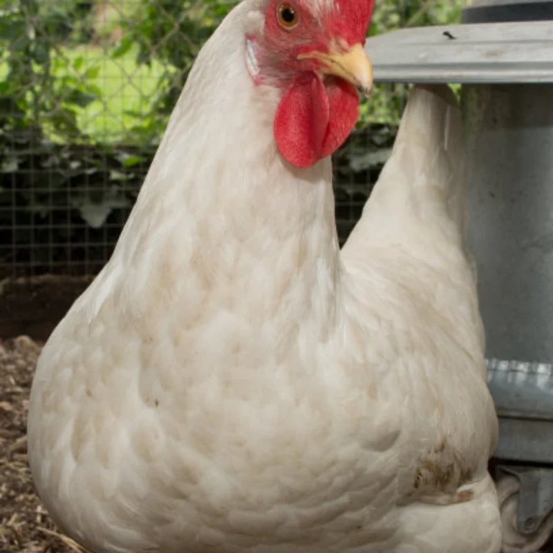 อะไหล่รถบังคับวิทยุ MJX RC Hyper Go 14211 สำหรับอุปกรณ์เสริมดัดแปลง ชิ้นส่วนก้านบังคับเลี้ยวและชุดส่งกำลังพวงมาลัย