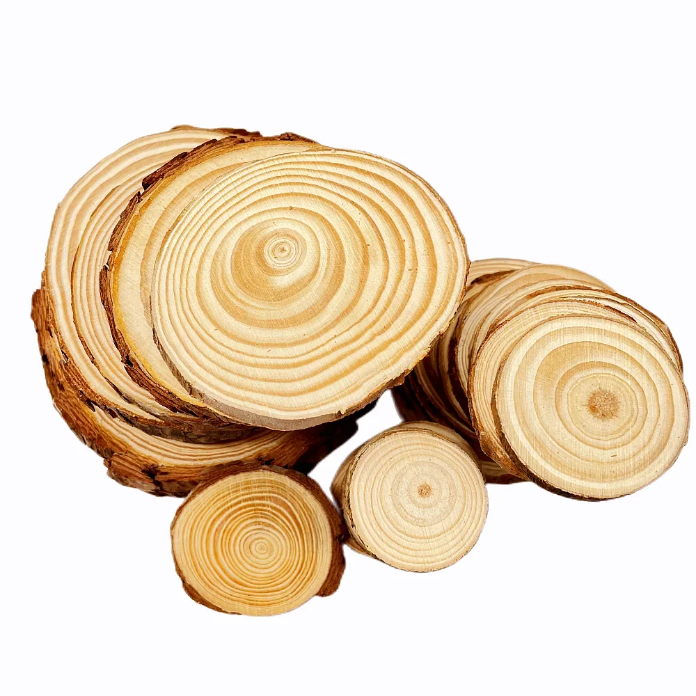 3-12cm Thick 1 Pack Natural Pine Round Unfinished Wood Slices Circles With Tree Bark Log Discs DIY Crafts Wedding Party Painting