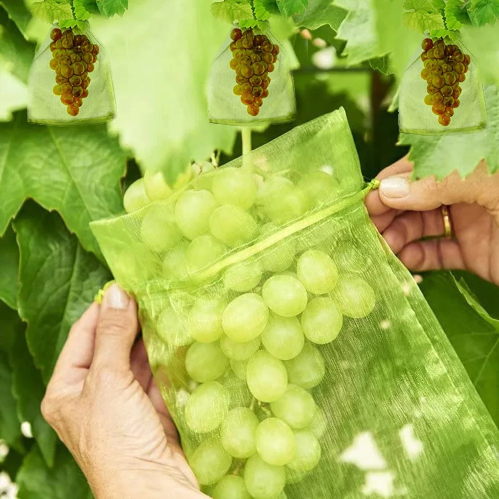50-300Pcs Fruit Protection Netting Bags Grapes Protection Bags Anti-Bird Garden Netting Bags Plante Vegetable Netting Cover gallery 2