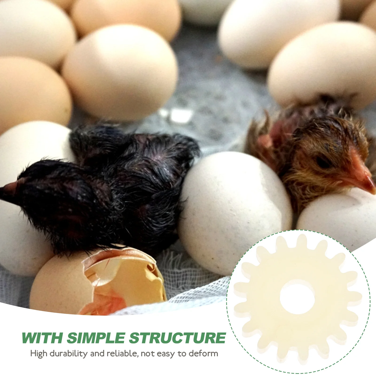 

10Pcs Incubator Gear Engine Reversible Gear for Egg Turning Motor Poultry Incubator Accessories Farming Equipment