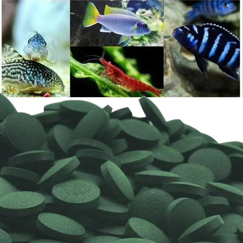 50/100/300/500 Uds tabletas de espirulina concentrado de algas marinas en espiral comida para mascotas favorita peces cristal rojo camarones comida para peces acuario