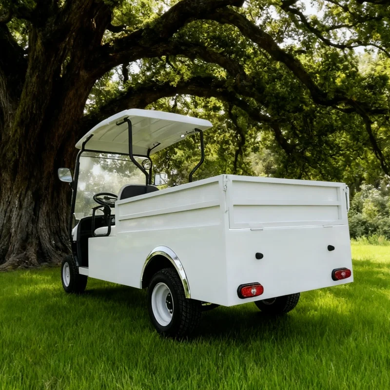 

4 Wheel Golf Buggy Car Lithium Battery Off Road Tire Street Legal 2 Passenger Electric Folding Cargo Cart With Rear Cargo Box