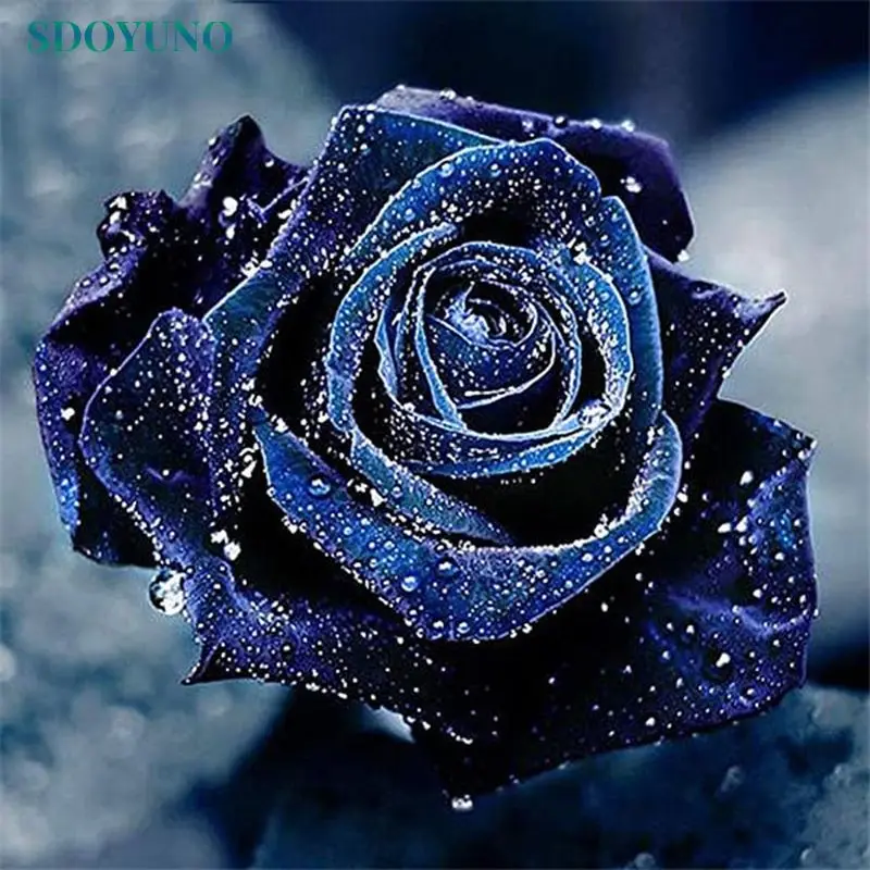 

SDOYUNO 5D Diamond Painting New Product Diamond Embroidery Floral Rose Full Square Mosaic Rhinestone Picture Home Decor