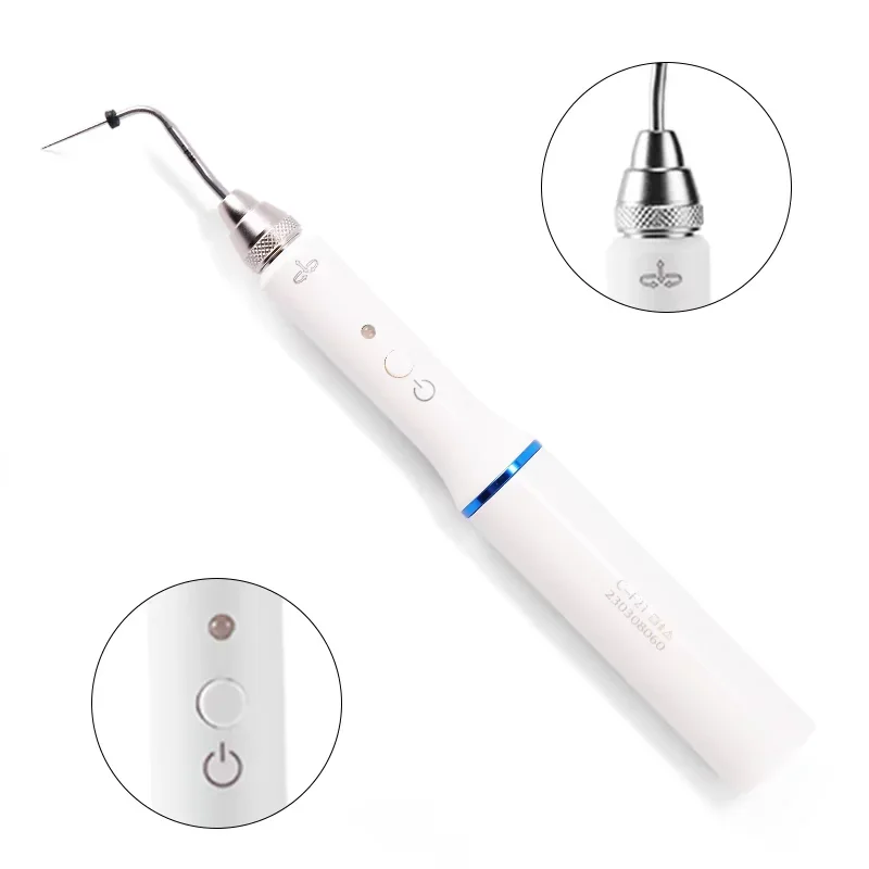 Dental 3 Seconds Cordless Wireless Gutta Percha Obturation Endodontic Root Canal Filling System with Heated Pen 2 Tips Lab Tools