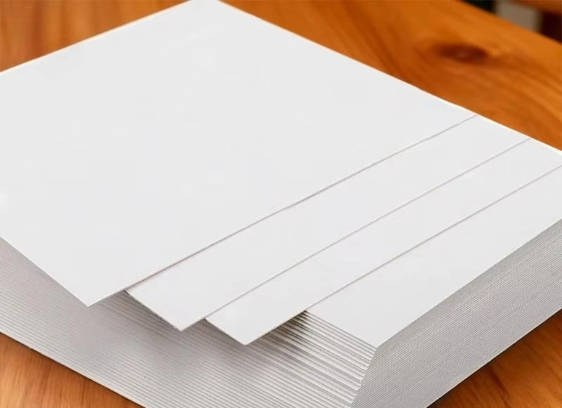 Food Grade GC1 FBB Single Side Eco-Friendly Anti-Curl Safe for Dry Food and Bakery Box Packaging C1S Ivory Board