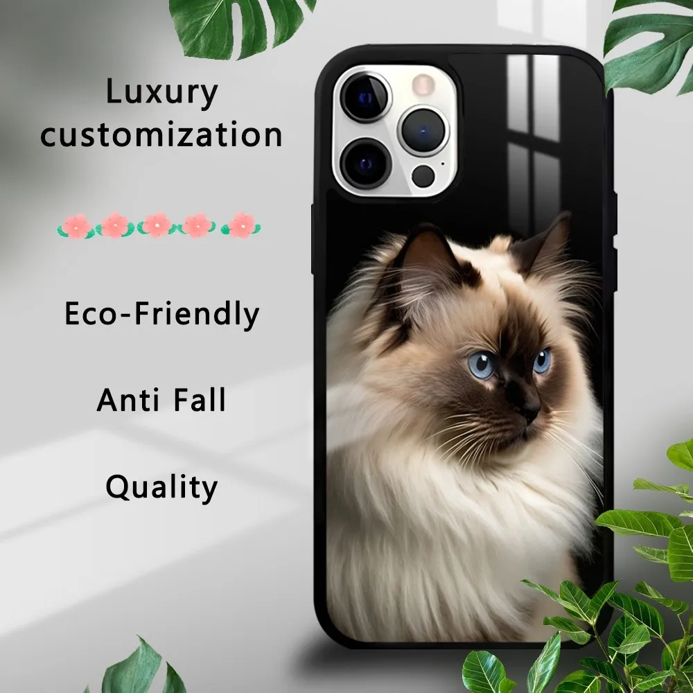 Siamese Cat Cute Phone Case For iPhone 16 15 14 13 12 11 Pro Xs Max Mini Plus Celulares Hard Funda