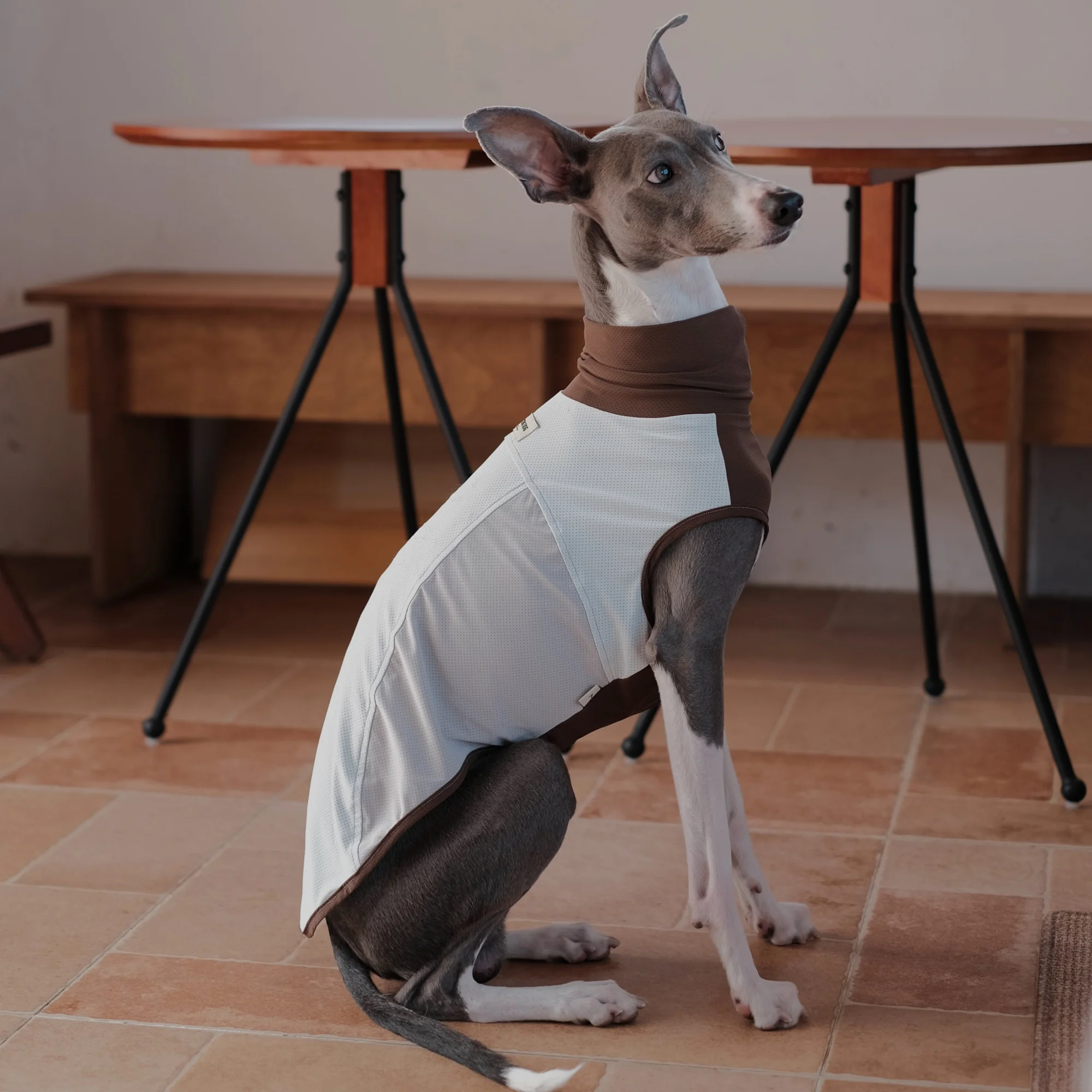 

Летняя модная дышащая жилетка с цветовыми блоками для итальянских грейхаундов, ультралегкая солнцезащитная мягкая куртка UPF50+ для собак пород виппет и итальянский грейхаунд