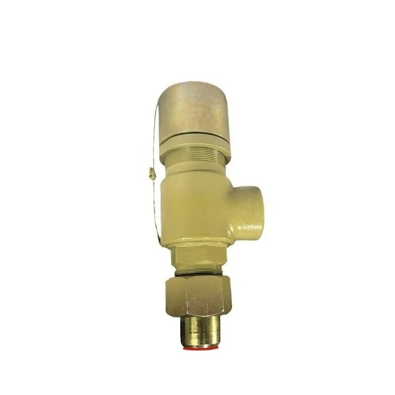 For Safety Valve A21H-16C Spring Micro-opening Closed External Thread Safety Valve