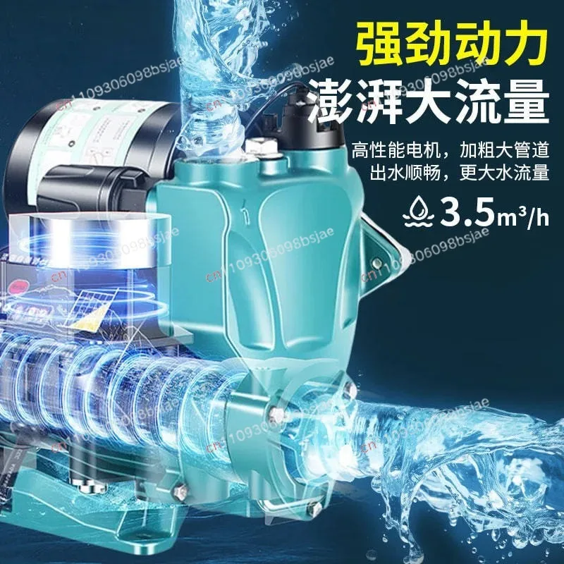 WZB household booster pump foreign trade cross-border American customer hot-selling 110V American standard household